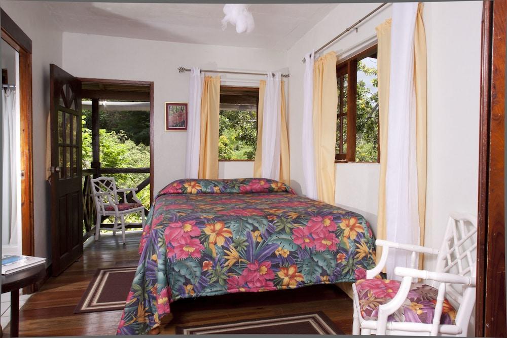 Forres Park Hotel Kingston Esterno foto